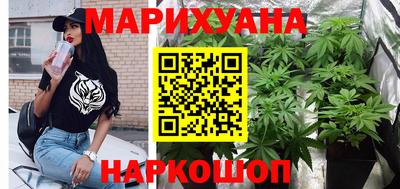 сатива Будённовск