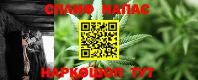 сатива Будённовск