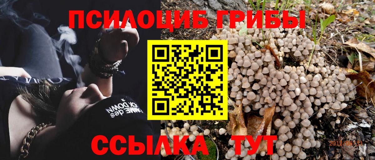 Псилоцибиновые грибы GOLDEN TEACHER Холмск